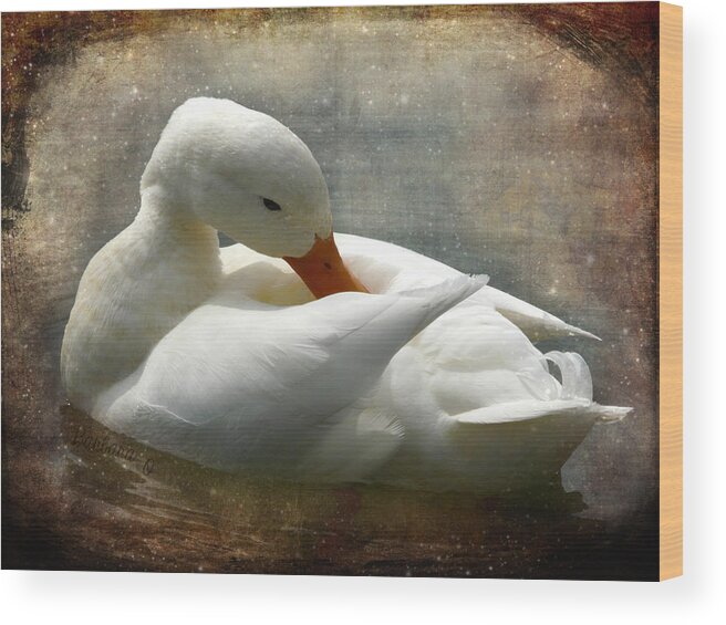 White Duck Wood Print featuring the photograph White Duck by Barbara Orenya