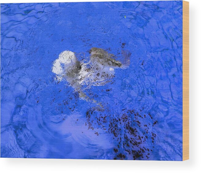 Girl Wood Print featuring the photograph White Hair Blue Water 1 by Dietrich ralph Katz