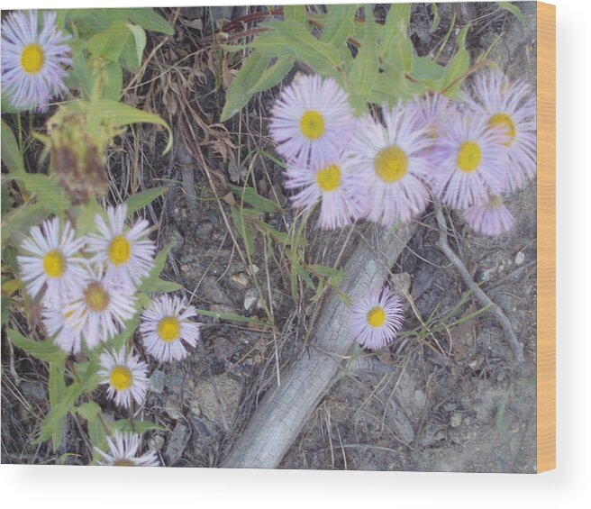 Wildlife Wood Print featuring the photograph White in the Wild by Fortunate Findings Shirley Dickerson