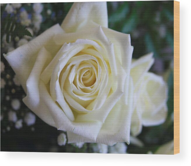 White Rose Wood Print featuring the photograph White Rose And Baby's Breath by Cathy Lindsey