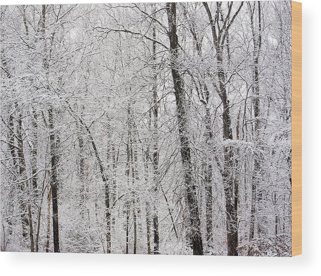Trees Wood Print featuring the photograph White Winter World by Nancy De Flon