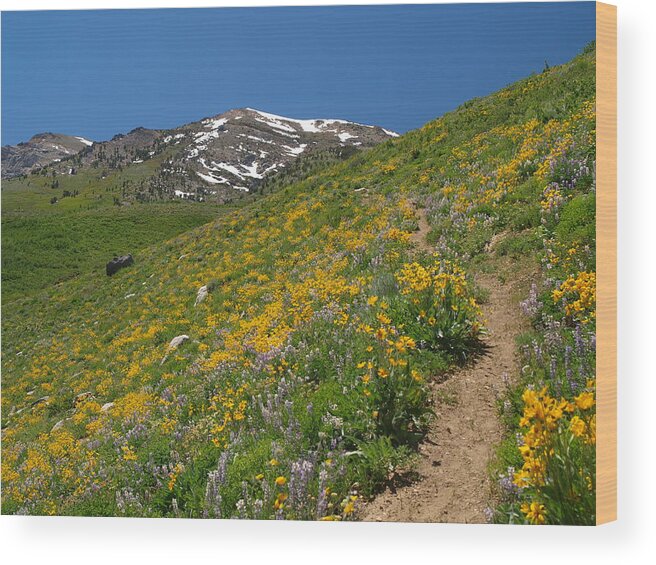 Elko Nevada Landscape Photography Wood Print featuring the photograph Wildflower Show by Jenessa Rahn
