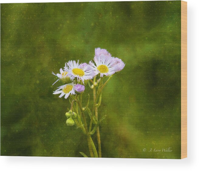 J Larry Walker Wood Print featuring the digital art Wildflower Swaying In The Wind by J Larry Walker