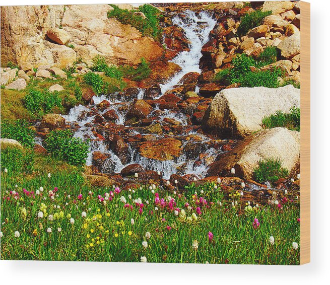 Wildflower Wood Print featuring the photograph Wildflower Waterfall by Tranquil Light Photography