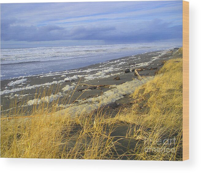  Winter Wood Print featuring the photograph Winter Beach by Jeanette French