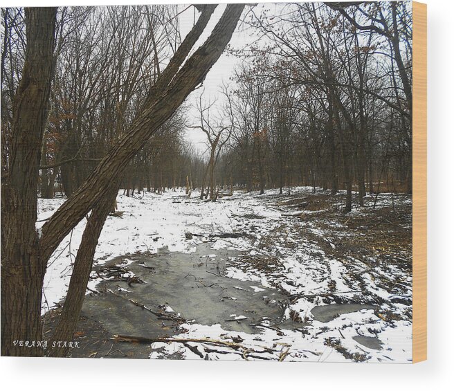 Hammond Wood Print featuring the photograph Winter Forest Series by Verana Stark