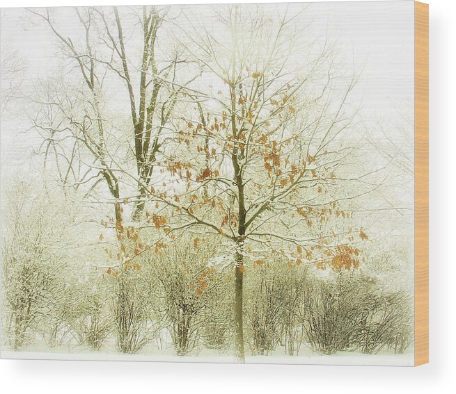 Winter Wood Print featuring the photograph Winter Leaves by Julie Palencia