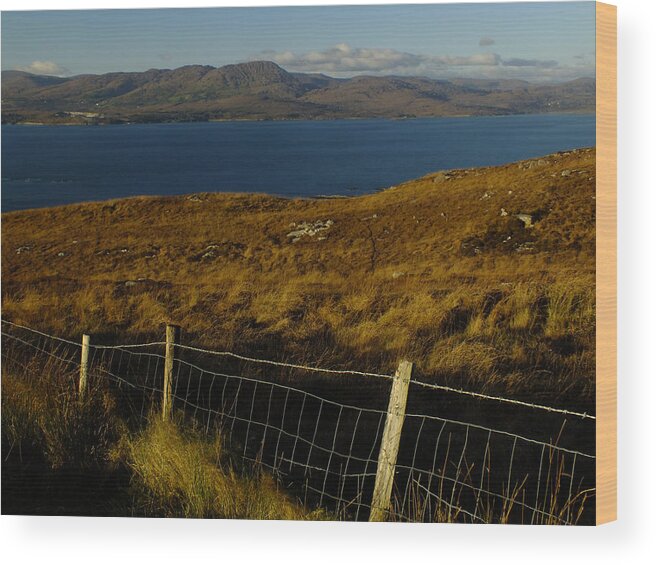 Bantry Wood Print featuring the photograph Winter on Bantry Bay by Phil Darby