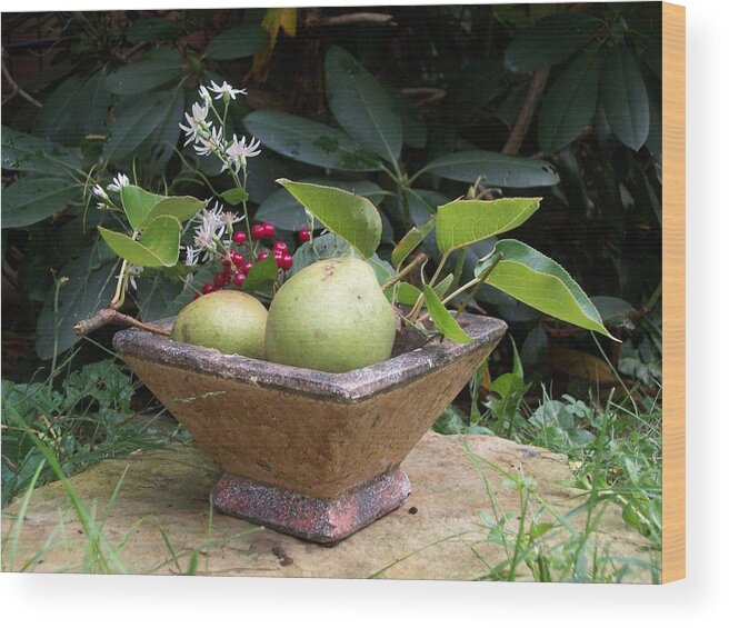 Pears Wood Print featuring the photograph Winter Pears by Dani McEvoy