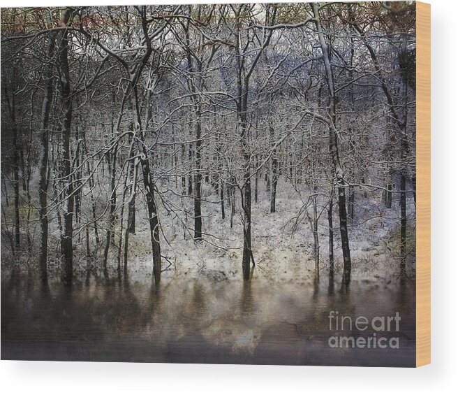 Trees Wood Print featuring the photograph Winter Pond Frozen by Dee Flouton