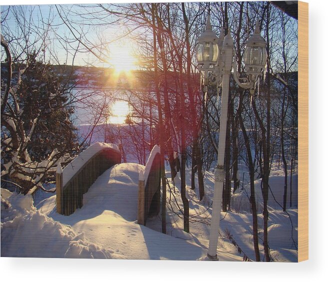 Lamp Wood Print featuring the photograph Winter Scene by Zinvolle Art