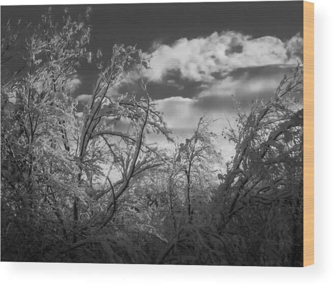 Carmel Wood Print featuring the photograph Winter Sky by Frank Mari