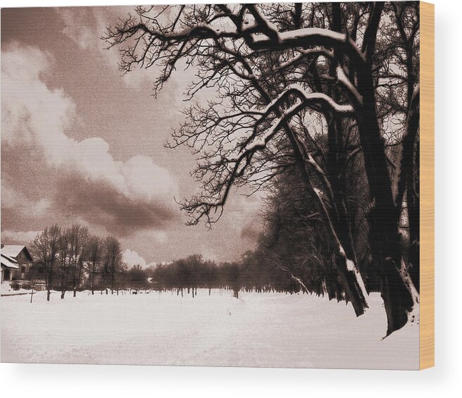 Winter Wood Print featuring the photograph Winter Tale by Nina Ficur Feenan