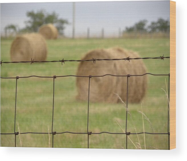 Barbed Wire Wood Print featuring the photograph Wire and Hay by Jewels Hamrick