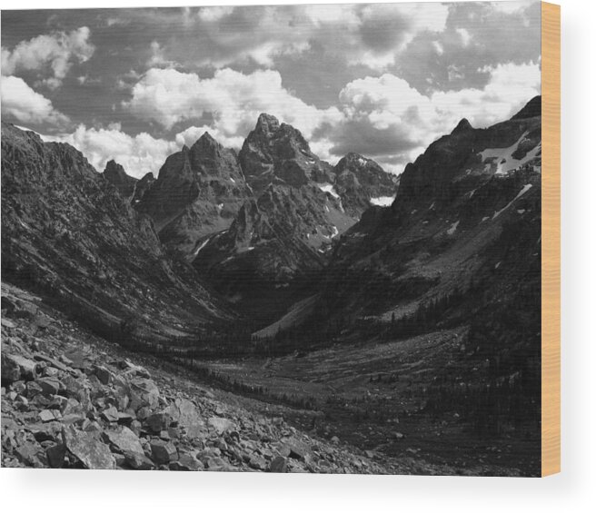 Cascade Canyon Wood Print featuring the photograph Within the North Fork of Cascade Canyon by Raymond Salani III