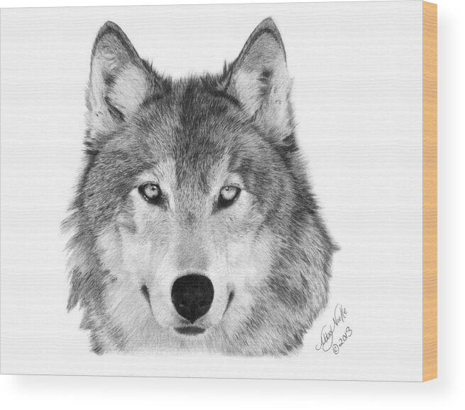  Wolf Wood Print featuring the drawing Wolf - 004 by Abbey Noelle