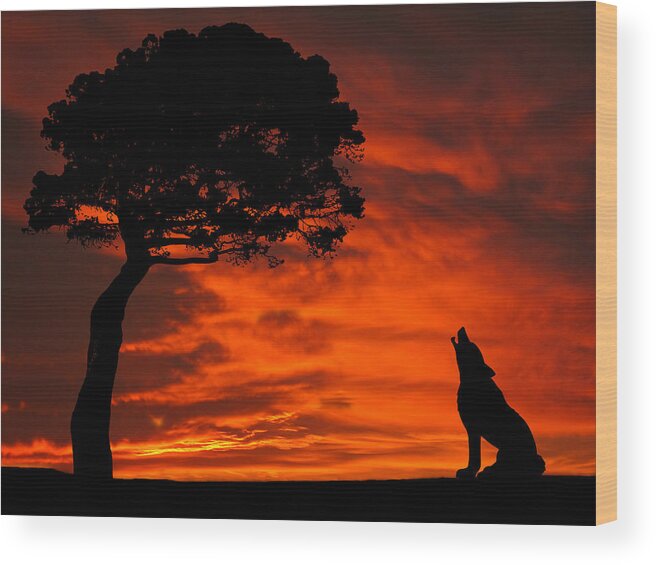 Wolf Wood Print featuring the photograph Wolf Calling For Mate Sunset Silhouette Series by David Dehner