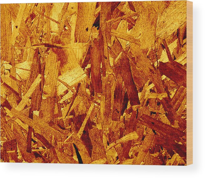 Backdrop Wood Print featuring the photograph Wood by TouTouke A Y