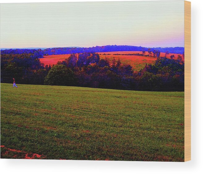 Yasgur Wood Print featuring the photograph Woodstock - Farm - Yasgurs by Susan Carella