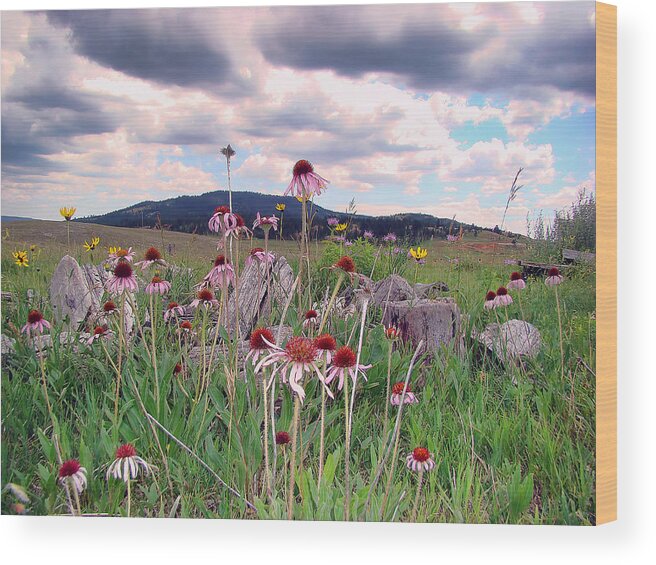 Wyoming Wood Print featuring the photograph Wyoming Coneflowers by Cathy Anderson