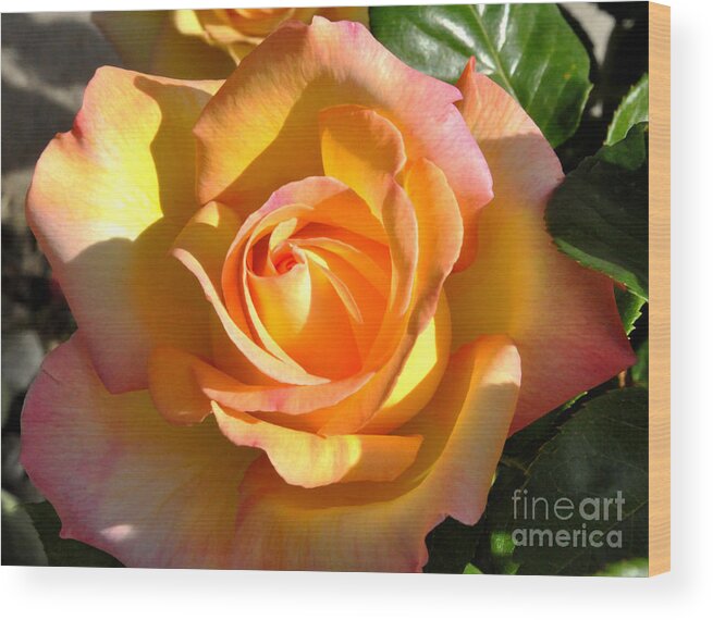 Flower Wood Print featuring the photograph Yellow Rose Bud by Debby Pueschel