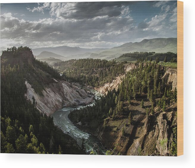 Scenics Wood Print featuring the photograph Yellowstone National Park Overlook by Danielle Bednarczyk