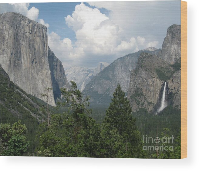 El Capitan Wood Print featuring the photograph Yosemite Valley by Mark Messenger
