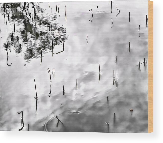 Silver Wood Print featuring the photograph Zen reflections by Rochelle Berman