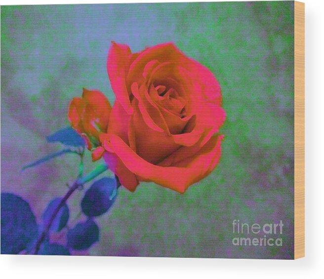 Rose Wood Print featuring the photograph American Beauty - Red Rose by Susan Carella