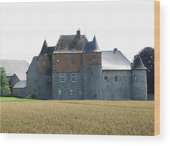 Europe Belgium Wood Print featuring the photograph Chateau Fort de Feluy Belgium #1 by Joseph Hendrix