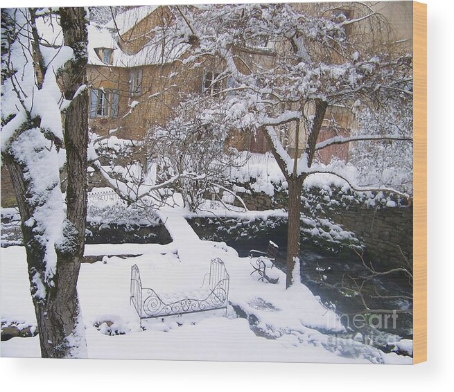 Garden Wood Print featuring the photograph Garden In Winter #1 by Sylvie Leandre