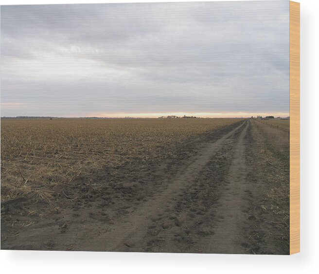 Nebraska Wood Print featuring the photograph Nebraska Corn Field #1 by Mark Norman