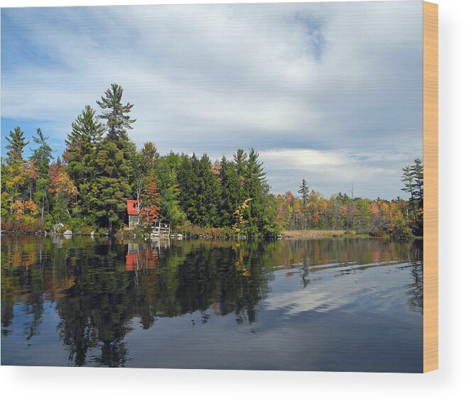 Autumn Wood Print featuring the photograph Nestled on the Far Shore #2 by Lynda Lehmann