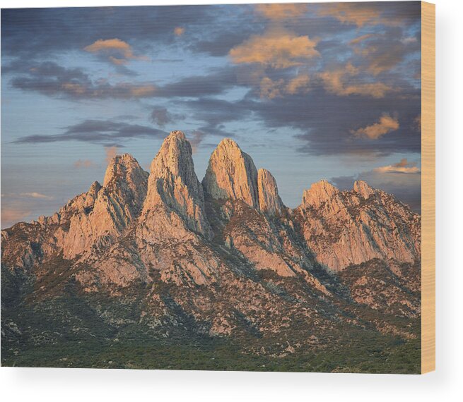 00438928 Wood Print featuring the photograph Organ Mountains Near Las Cruces New by Tim Fitzharris