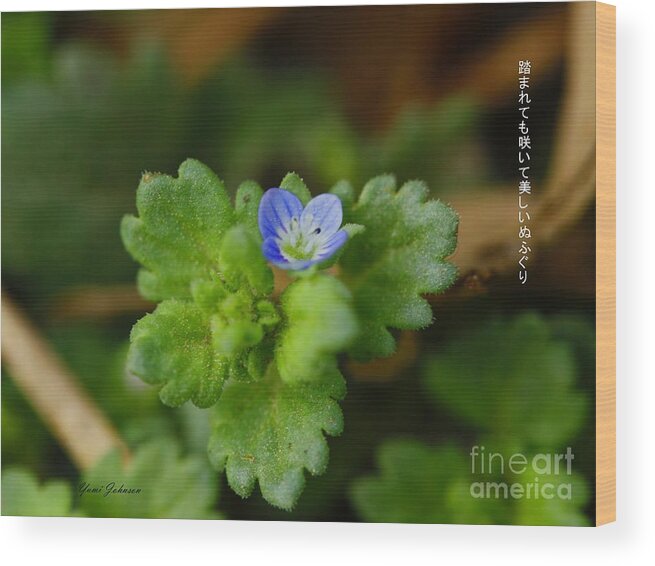 Weed Flowers Wood Print featuring the photograph Photo Haiku #1 by Yumi Johnson