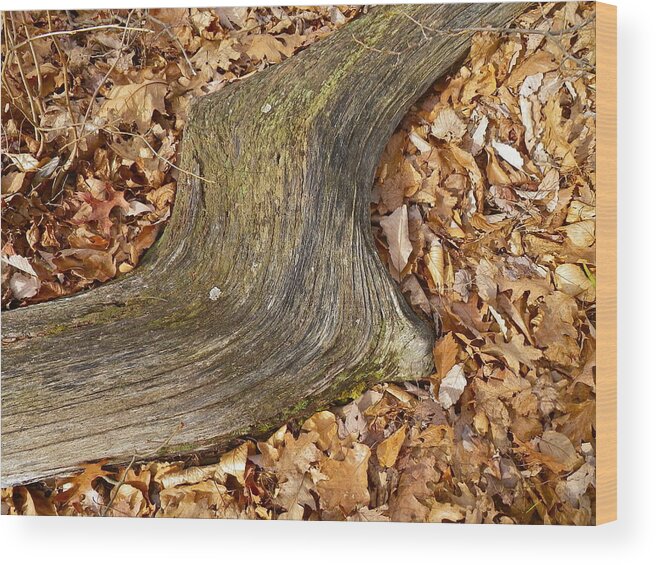 Tree Wood Print featuring the painting Resting #1 by Anna Ruzsan