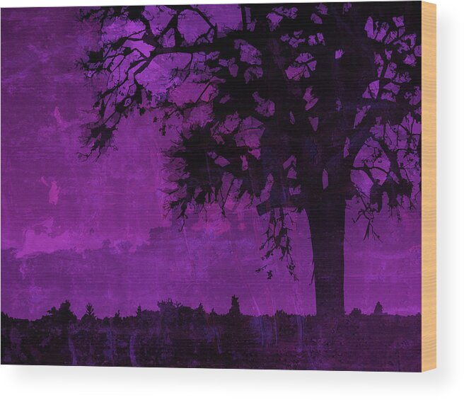 Digital Painting Wood Print featuring the photograph Nightfall #2 by Bonnie Bruno