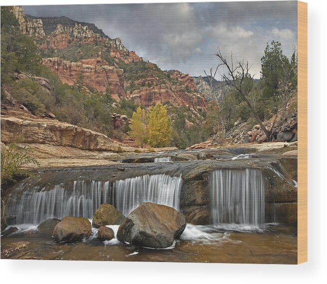 00438933 Wood Print featuring the photograph Oak Creek In Slide Rock State Park #2 by Tim Fitzharris