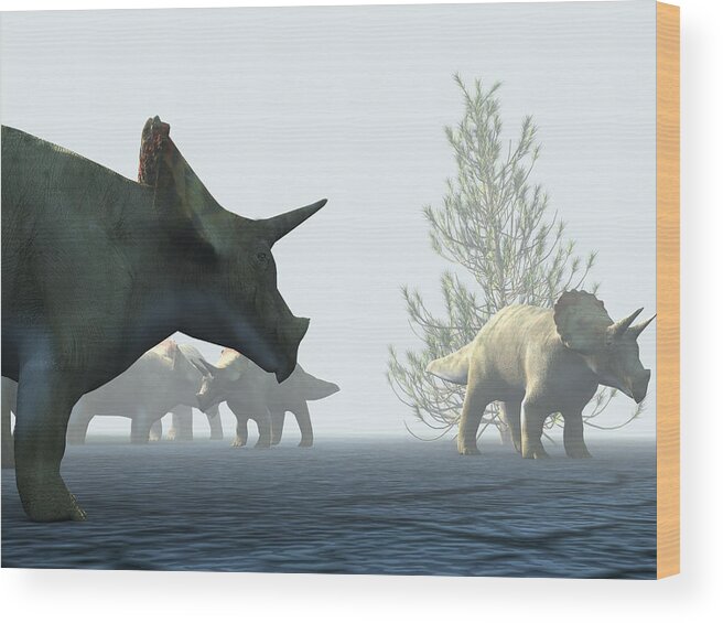 Triceratops Wood Print featuring the photograph Triceratops Dinosaurs #2 by Christian Darkin