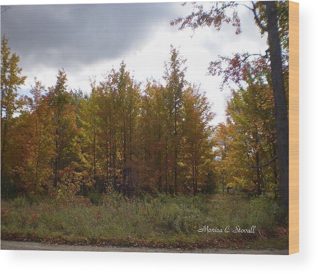  Wood Print featuring the photograph Fall Colors Collection - Michigan #3 by Monica C Stovall