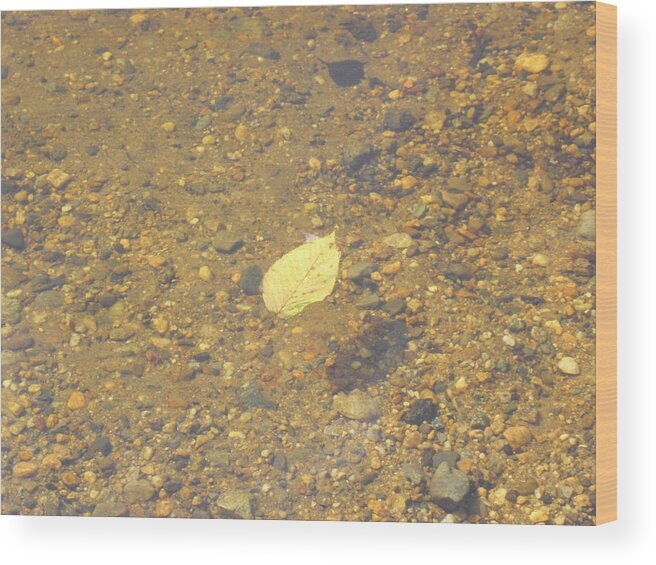 Leaf Wood Print featuring the photograph A Lonely Floater by Kim Galluzzo Wozniak
