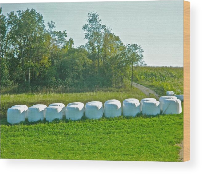 Fodder Wood Print featuring the photograph A Marshmallow World in Wisconsin by Randy Rosenberger