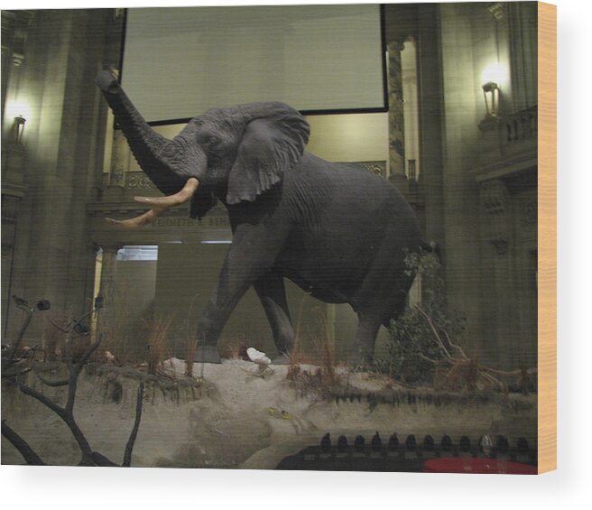 African Bull Elephant Wood Print featuring the photograph African bull elephant by Keith Stokes