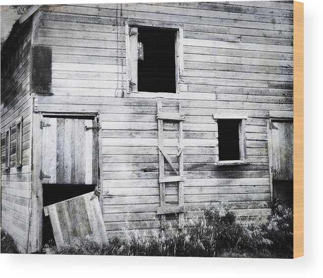 Barn Wood Print featuring the photograph Aging Barn by Julie Hamilton