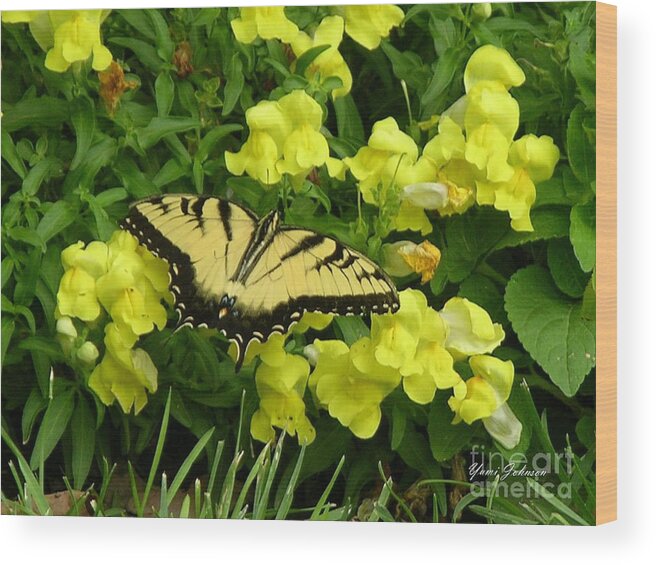 Tiger Swallowtail Wood Print featuring the photograph All in Yellow by Yumi Johnson