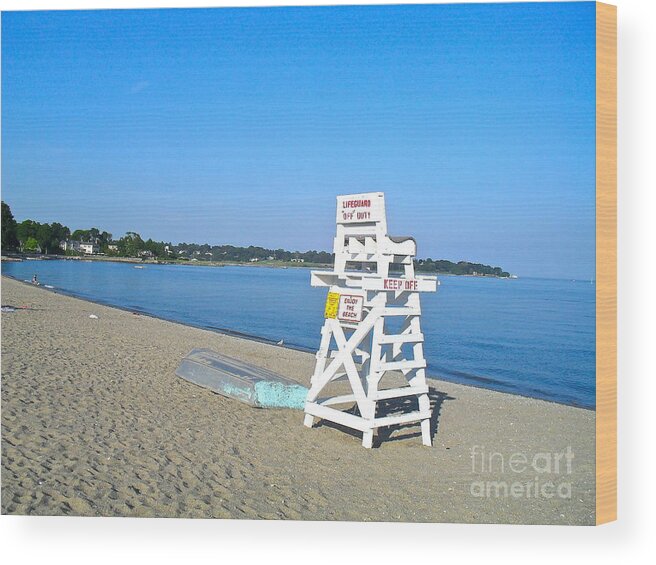 Blue Wood Print featuring the photograph Are You Ready for the Summer by Beth Saffer