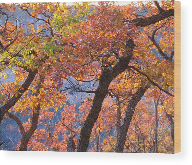 Grand Canyon Autumn Leaves Wood Print featuring the photograph Grand Canyon Autumn Leaves by Mark Norman