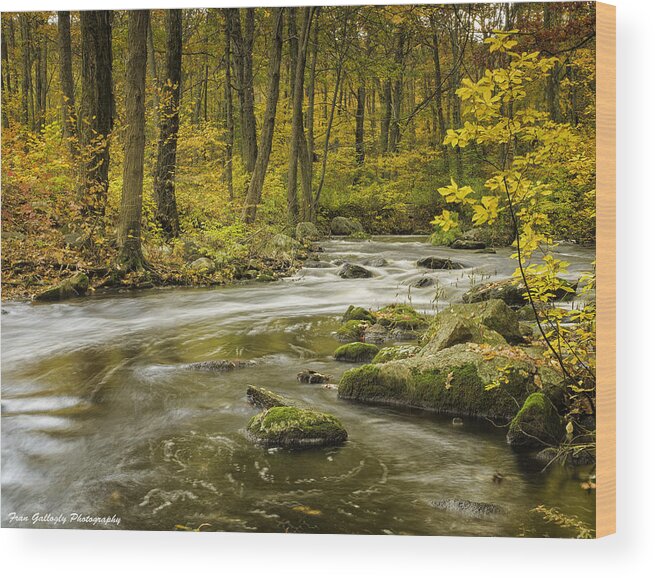 Landscape Wood Print featuring the photograph Babbling Brook by Fran Gallogly