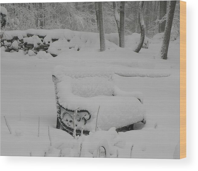 Snow Wood Print featuring the photograph Baby Its Cold Outside by Kim Galluzzo