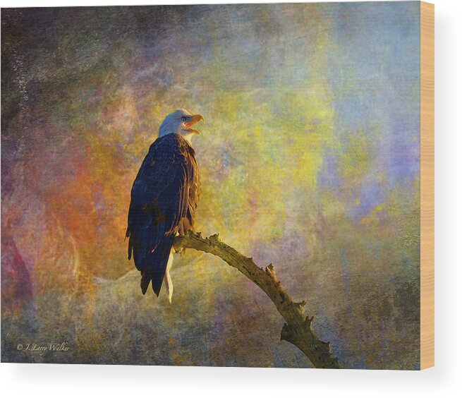 J Larry Walker Wood Print featuring the digital art Bald Eagle Awaiting Sunrise by J Larry Walker